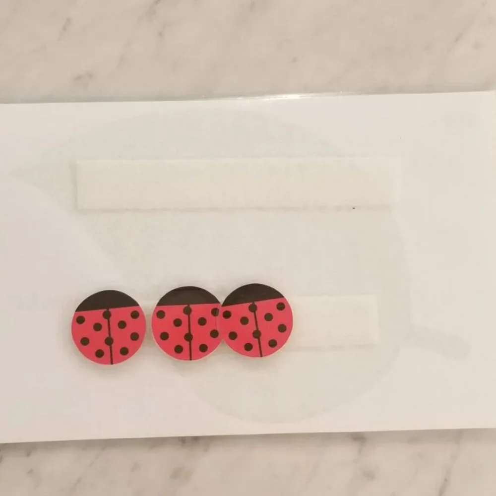 Lady Bug Reward Chart, Token Board, Chore Chart